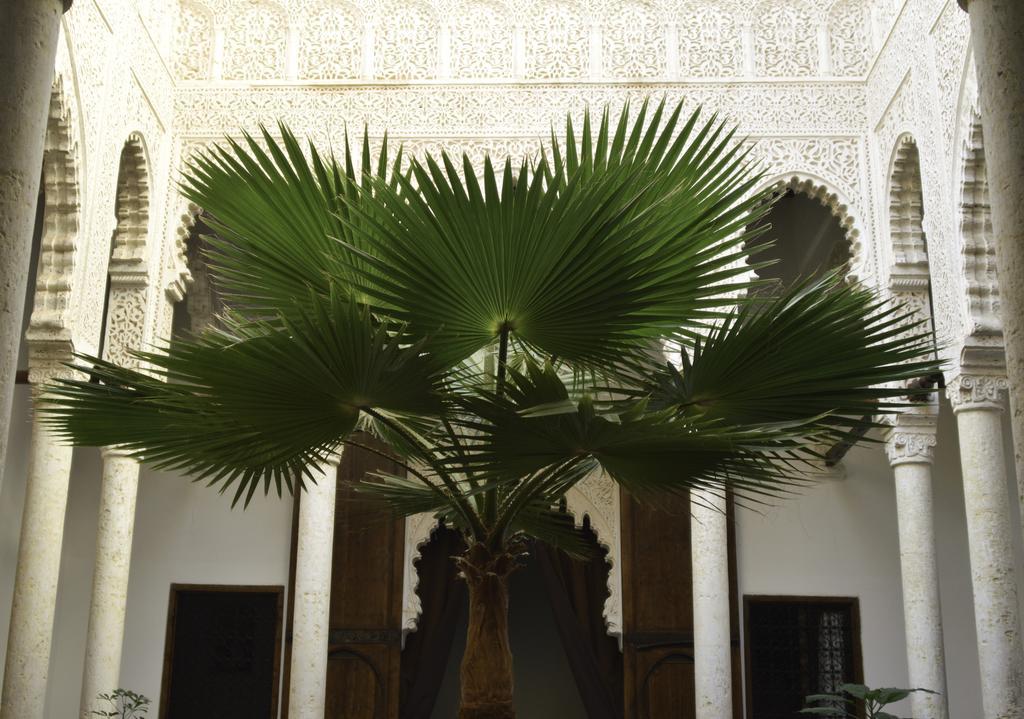 Riad Azahra Рабат Екстериор снимка